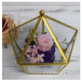 Woondecoratie Geometrisch Glas Terrarium Ecologisch